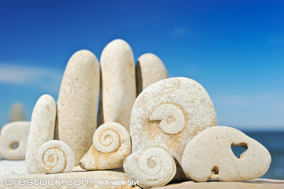 Sea pebble with fossilized snails on a beach i...