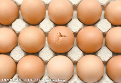 A tray of eggs, one of which shows a pronounce...