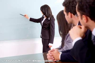 business girl doing a presentation in an offic...